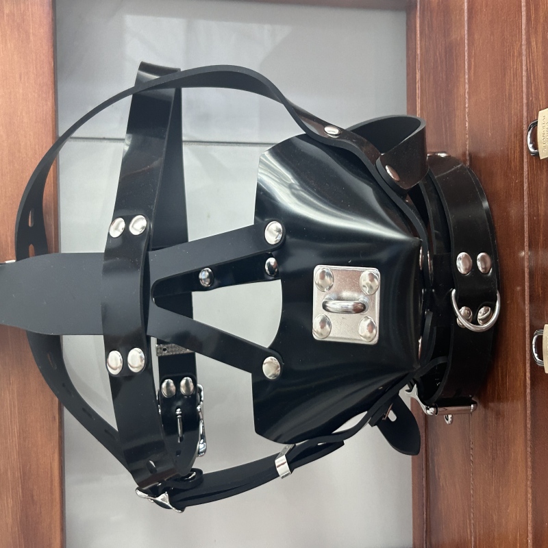 Lockable silicone bondage hood