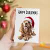 5 x Fun Christmas Card of a Red Cocker Spaniel Dog Wearing A Santa Hat Whimsical Christmas Card For Animal Lover For Him or Her - Small (4x6) / Pack of 5