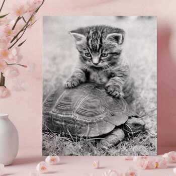 Kitten and tortoise - vintage black and white themed card - 12.6 x 17.7cm and blank inside - made in the UK