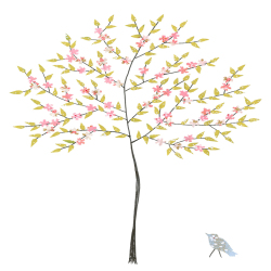 Tree in blossom