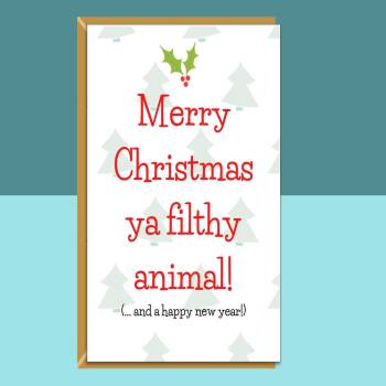 Funny Christmas Card - For Him or For Her - Home Alone - Merry Christmas Ya Filthy Animal - Personalised if needed - Single or Bundle Pack