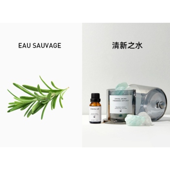 EAU SAUVAGE