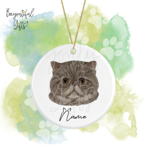 Personalised Watercolour Cat Face Round Ceramic Hanging Decoration - Exotic Shorthair - Face 8