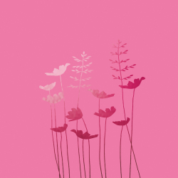 Anemones Blank Pink Greeting Card