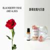 BLACKBERRY ROSE AND ALOES