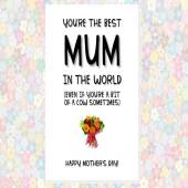 funny cheeky rude MOTHER'S DAY card - happy mother's day, you’re the best mum in the world  (even if you’re a bit of a cow sometimes)
