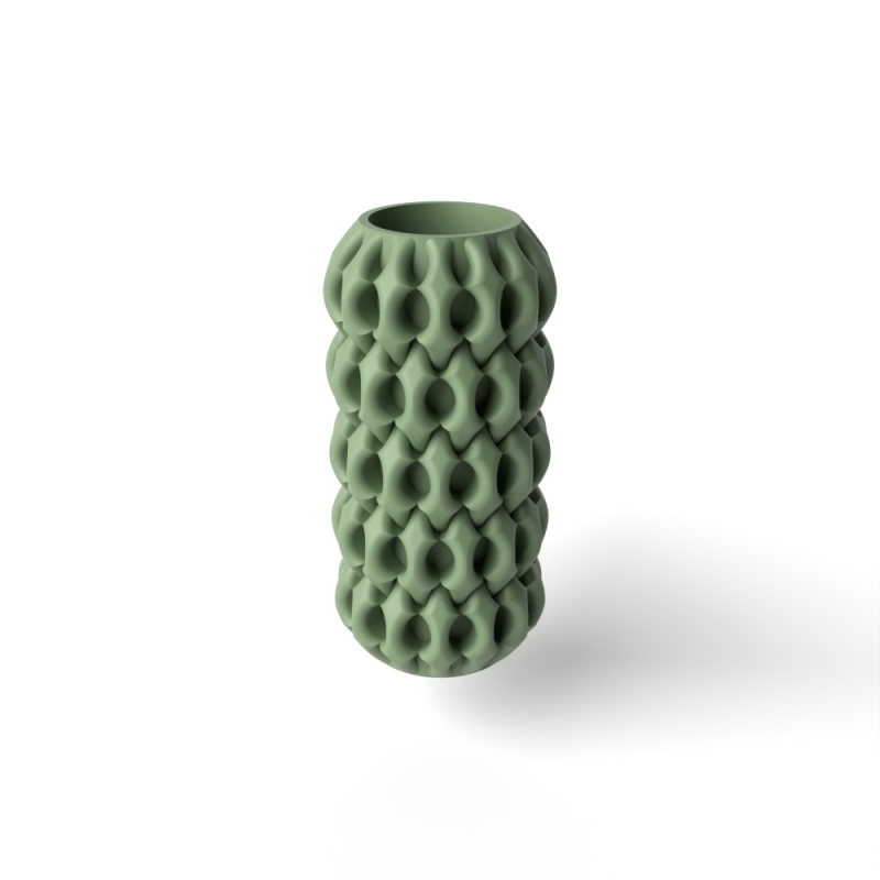 The Xiomu Vase, Modern and Unique Home Decor for Dried and Preserved Flower Arrangement - Black - Large