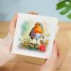 Notelet Card of a Robin For Anyone Any Occasion Card For Her or For Him Card For Birthday or Easter Card Thank You Card - Square (5.5x5.5) / Blank Inside