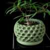 Starry Planter Pot - Matte Dark Green