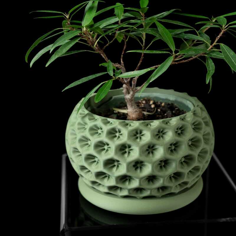 Starry Planter Pot - Matte Dark Green