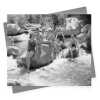 Perfect spot for a plunge - vintage black and white themed card  - 12.6 x 17.7cm and blank inside - made in the UK