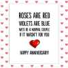 funny rude anniversary card, rude wife card, rude husband card, c*nt card, dickhead card, cheeky card, girlfriend, boyfriend, 15 designs - CUNTIEST