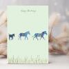 Zebra birthday card -  designed by Eloise Hall - 15.7 x 11cm and blank inside, made in the UK