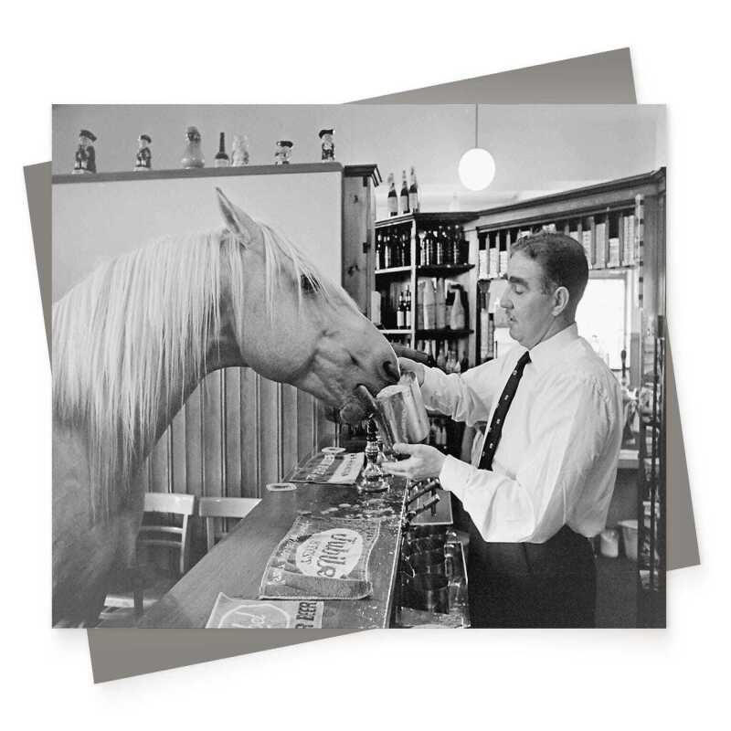Why the long face, vintage photographic black and white horse in pub themed card  - 12.6 x 17.7cm and blank inside - made in the UK