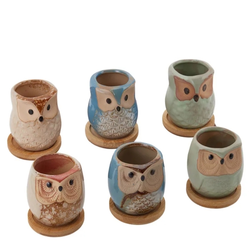Cute Owl Bonsai Pots with Bamboo Tray