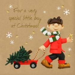 Holy Mackerel Special little boy, a festive foiled Christmas card designed by Erica Sturla, for son, grandson, nephew etc.15cm square & blank inside for your message.