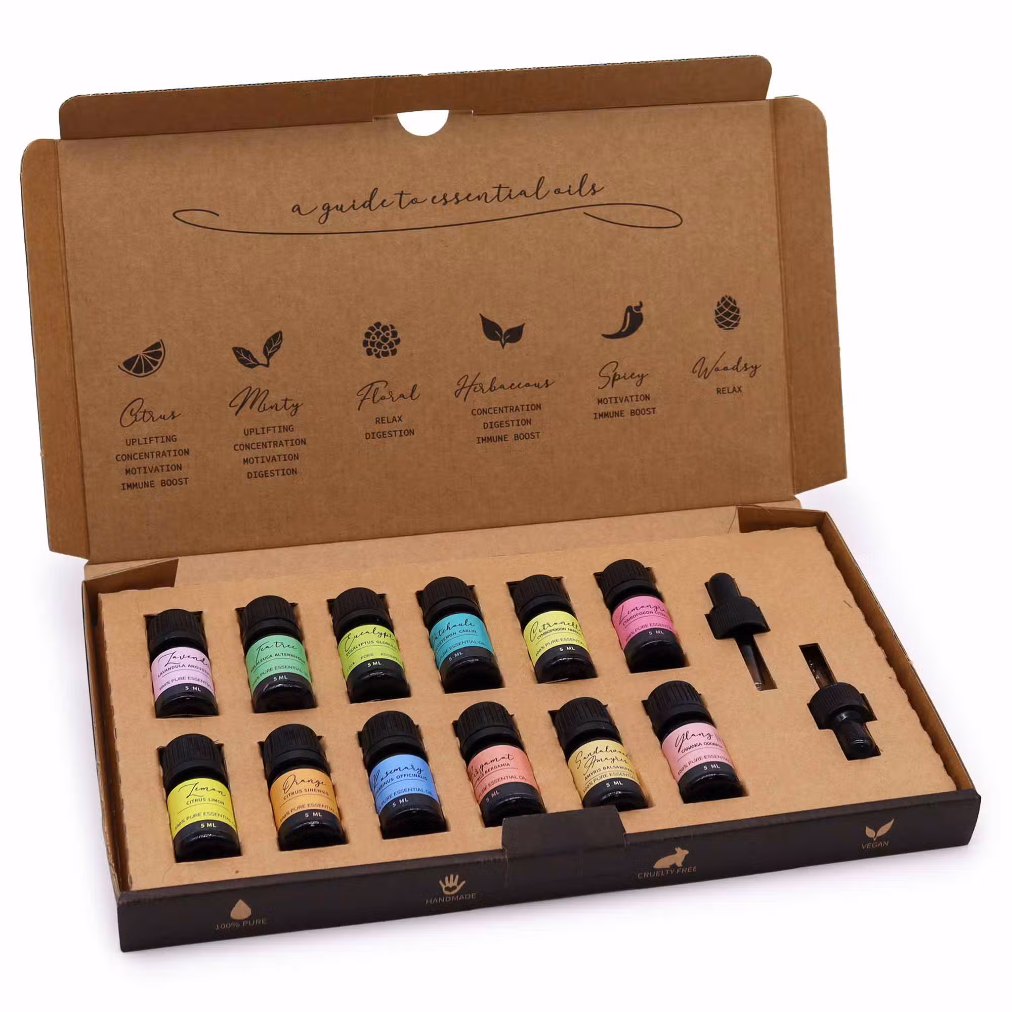 Aromatherapy Essential Oil Set - The Top 12