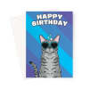 Egyptian Mau Cat Birthday Card - A5 Portrait - 1 Card