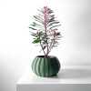 The Ovire Planter Pot with Drainage Tray & Stand Included - Matte Dark Green - 3"