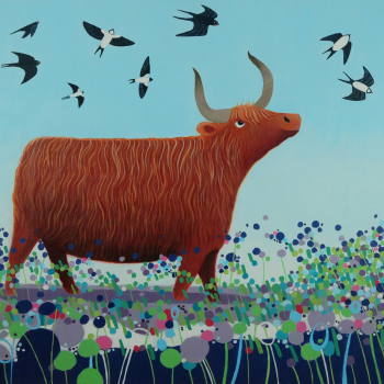 Holy Mackerel swoopers Highland cow themed art card for him or her - designed by artist Ailsa Black - 15cm square and blank inside for your message