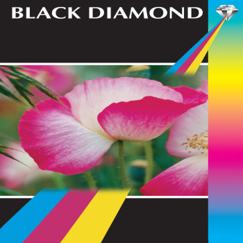 Black Diamond 6x4 180gsm Matte Photo Paper (50 Sheet Packs)