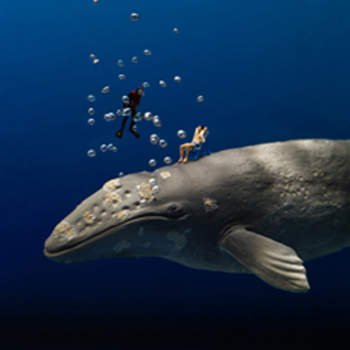 Deep Relaxation 150mm Square Greetings Card by Akiko Ida and Pierre Javelle