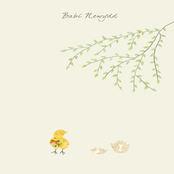 Babi Newydd  Chick (New Baby)