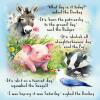Funny What Day? Birthday Card pig donkey seagull badger A5 uncoated textured