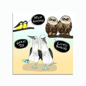 Funny Bird Card | Birds | Garden Birds | Tits | Birds Birthday Card