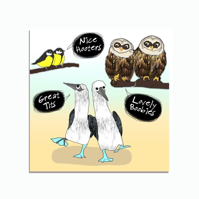 Funny Bird Card | Birds | Garden Birds | Tits | Birds Birthday Card