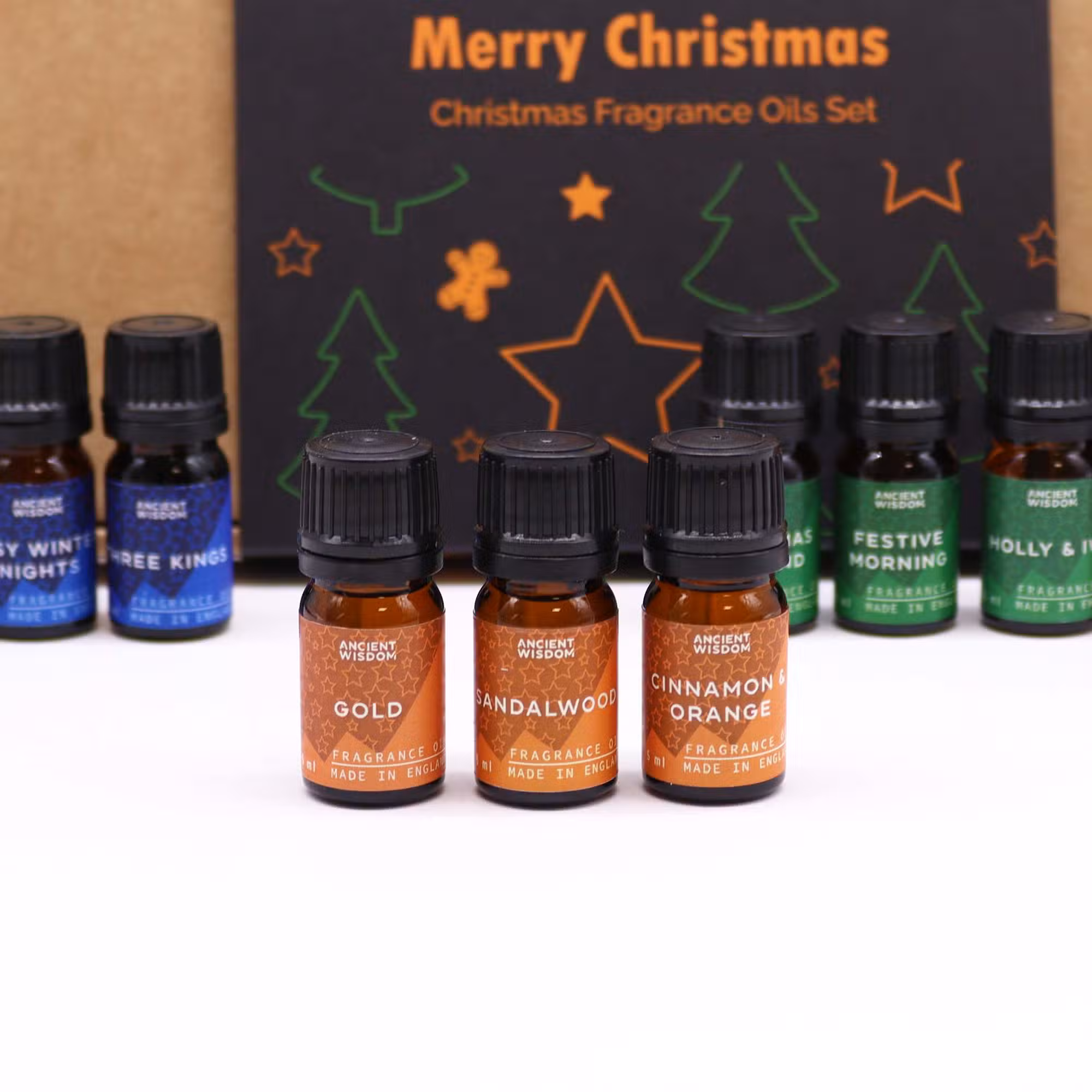 Holy Scents of Christmas Fragrance Oils Set - 12 Festive Oils