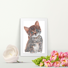 Cute Kitten - Mounted - A4 Print