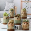 Cute Owl Bonsai Pots with Bamboo Tray