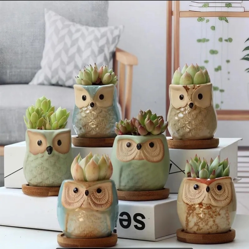 Cute Owl Bonsai Pots with Bamboo Tray