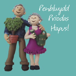Penblwydd priodas hapus (Happy wedding anniversary) Welsh language anniversary card by Erica Sturla. Card is 15cm square and blank inside.