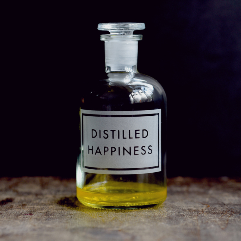 Holy Mackerel distilled happiness retro themed blank greeting card for him or her - designed by Andy Poplar - 15cm square and blank inside for your message