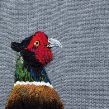 Pheasant on French Linen 150mm Square Greetings Card by Sarah J Perry