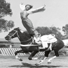 Holy Mackerel equine gymnastics retro black and white photographic card featuring a vintage image of a stunt rider standing on her horse - 12.6 x 17.7cm and blank inside