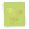 Fennel greeting card embellished with gold foil -  designed by artist Eloise Hall - 15.7 x 11cm and blank inside