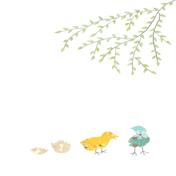 Chicks & Eggs Blank Greeting Card