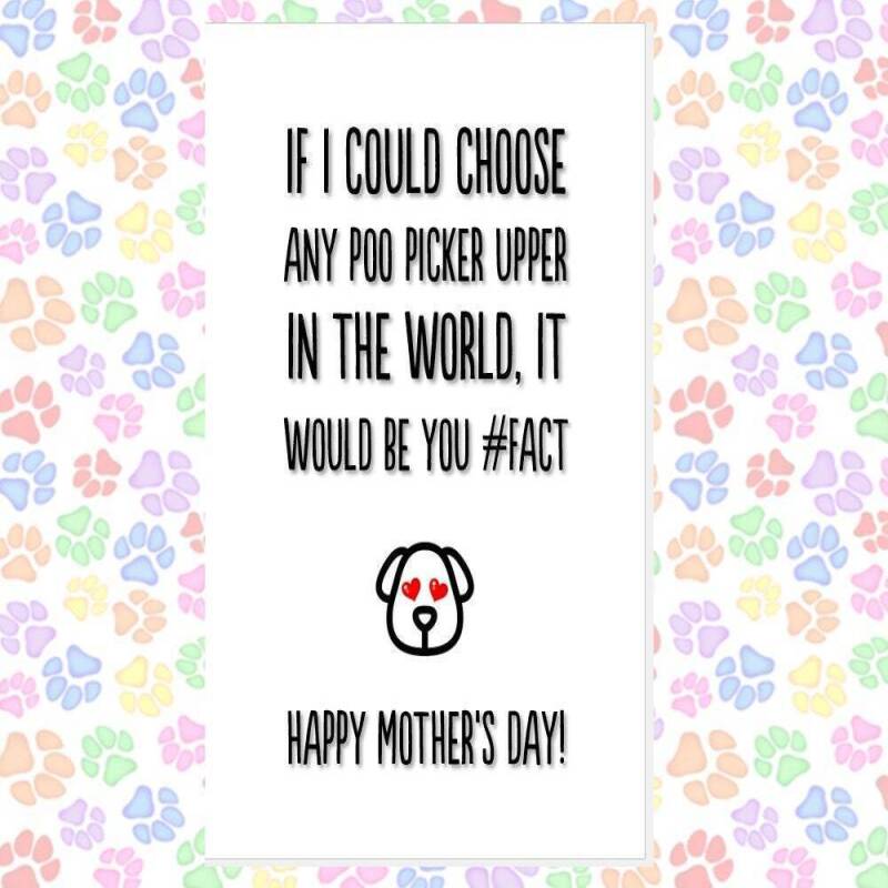 MOTHER'S DAY card from the dog, card from 2 dogs, funny mother's day card, card from the dogs, favourite human, best dog mum, thank you etc - LICK BITS - 1 DOG