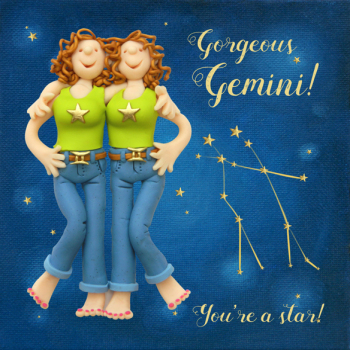 Holy Mackerel Star Sign Zodiac Birthday Card - Gemini