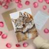 Anniversary Card – Cute Wolves Nuzzling, Romantic Card for Husband, Wife, Boyfriend or Girlfriend - Portrait (5x7) / Blank Inside