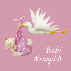 Babi Newydd new baby girl Welsh language greetings card by Erica Sturla. Card is 15cm square and blank inside.