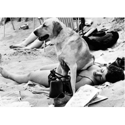 Holy Mackerel labrador retro black and white photographic card featuring a vintage image of a dog sitting on his owner at the beach - 12.6 x 17.7cm and blank inside