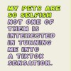 Selfish pets birthday card