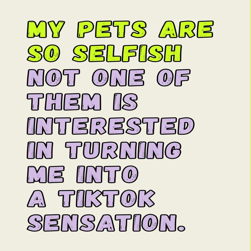 Selfish pets birthday card