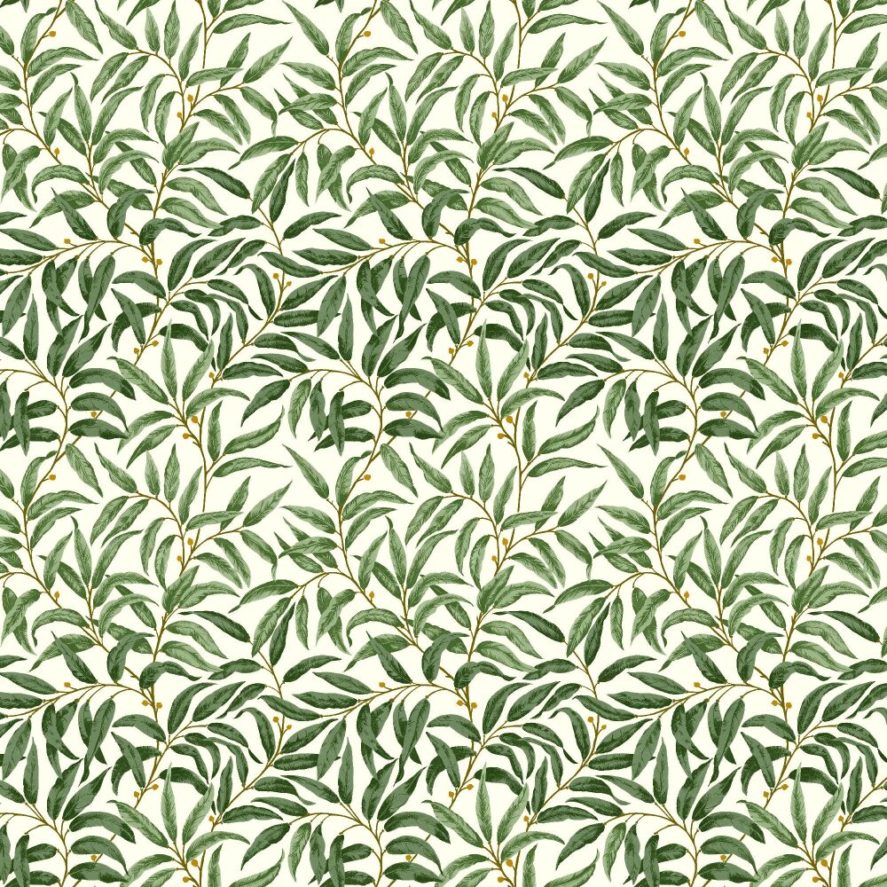RUSKIN WILLOW
