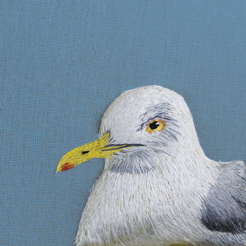 Herring Gull 150mm Square Greetings Card by Artist Sarah J Perry