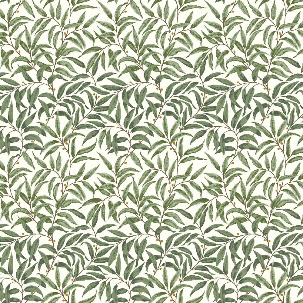 RUSKIN OLIVE